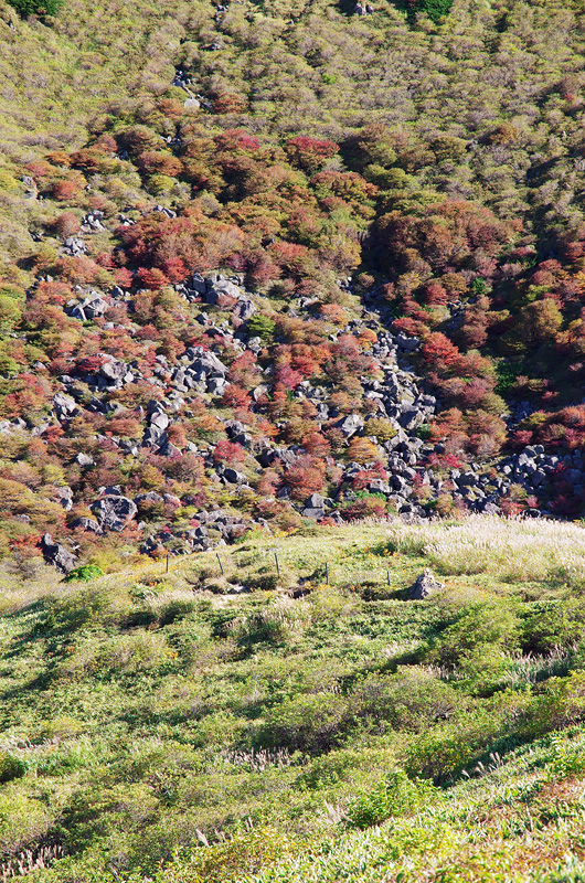 c0288262_16421137.jpg