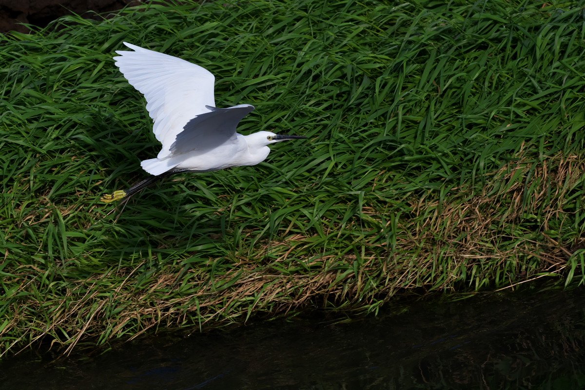 a0083081_17321318.jpg