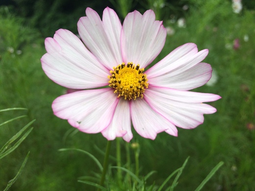 f0201297_22283520.jpg
