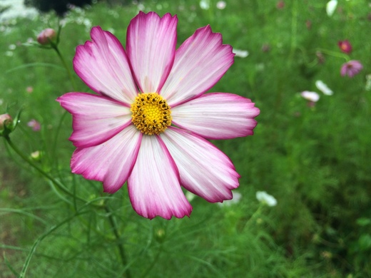 f0201297_2235647.jpg