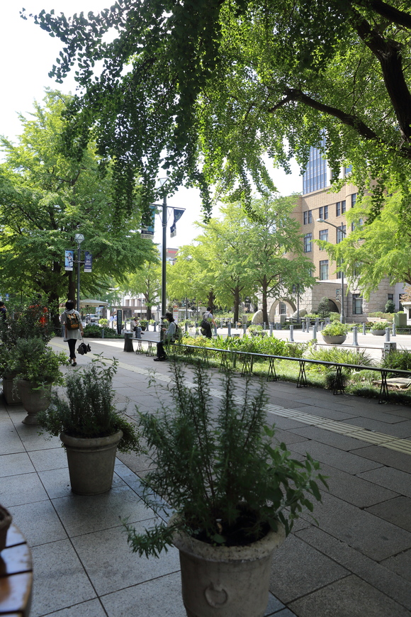 b0275998_1165340.jpg