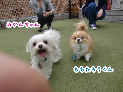 a0338800_09032686.jpg