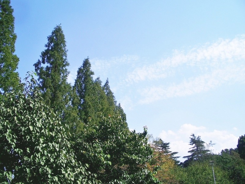e0025300_15183735.jpg