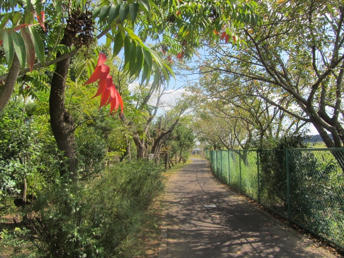 e0033301_19201545.jpg