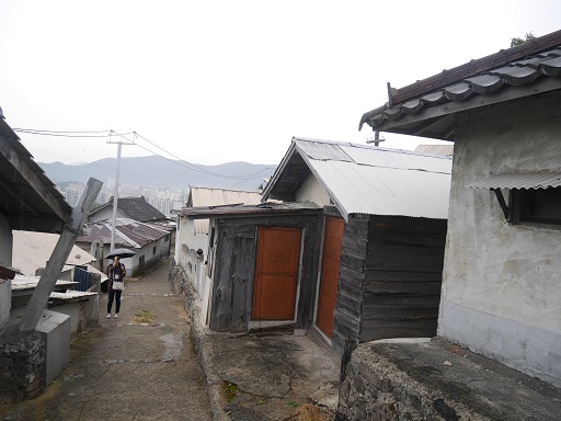a0140305_0153637.jpg