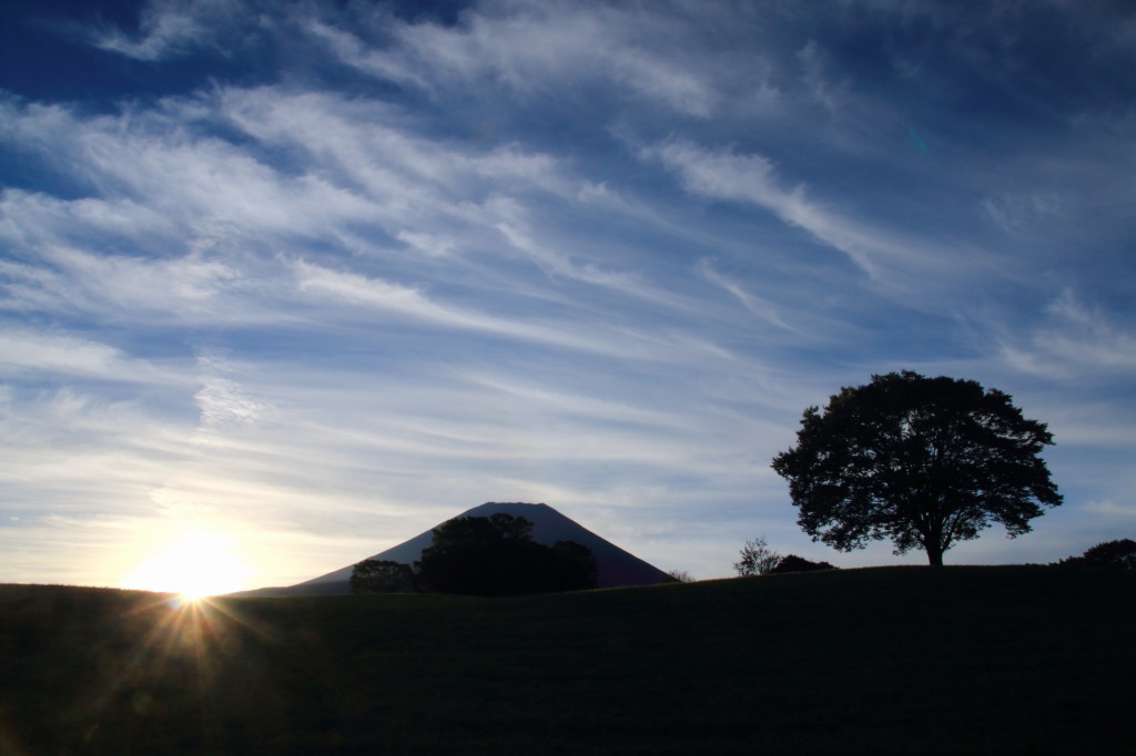 a0188405_21204858.jpg