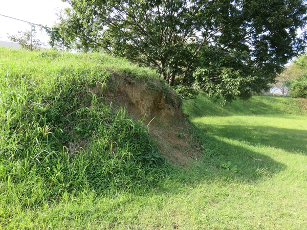 e0188009_206791.jpg