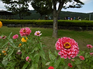b0146611_6563073.jpg
