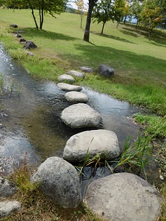 b0146611_6585091.jpg