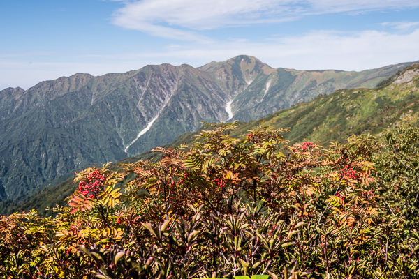 b0244811_20555776.jpg