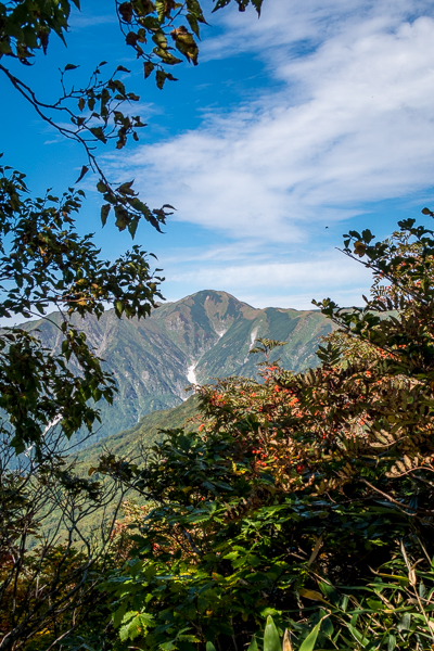 b0244811_20564591.jpg