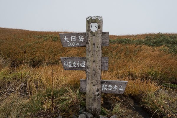 b0244811_82461.jpg