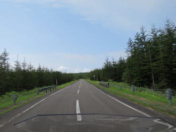 d0027711_12594585.jpg