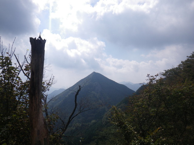 d0006512_16401718.jpg