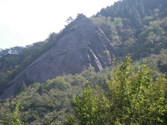 d0006512_16460061.jpg