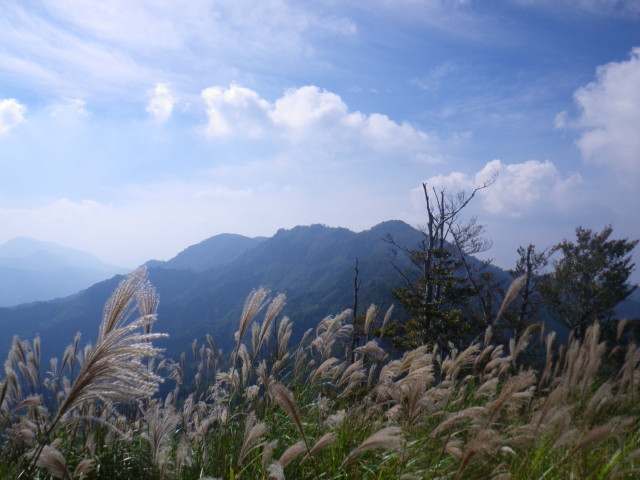d0006512_16512757.jpg