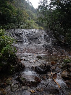 c0359615_21064237.jpg