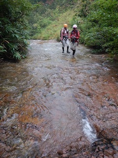 c0359615_21065616.jpg