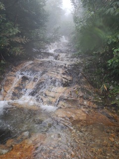 c0359615_21085616.jpg
