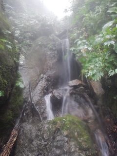 c0359615_21095894.jpg