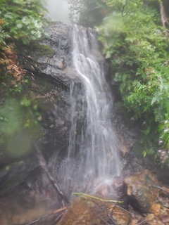 c0359615_21101100.jpg