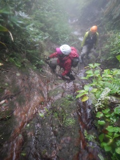 c0359615_21103509.jpg