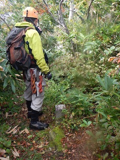 c0359615_21110497.jpg