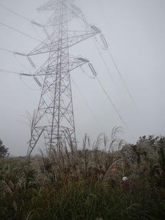 c0359615_21111975.jpg