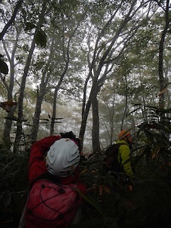 c0359615_21113691.jpg