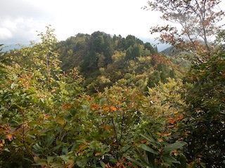 c0359615_21115136.jpg
