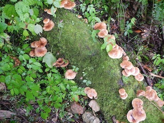 c0359615_21121182.jpg