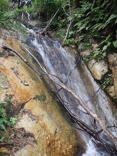 c0359615_21122301.jpg