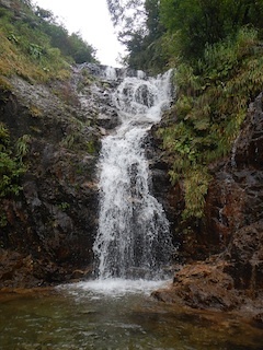 c0359615_22195437.jpg