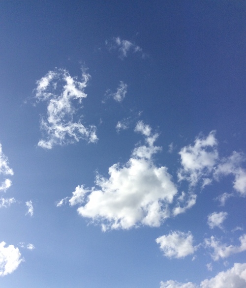 e0052716_10351256.jpg