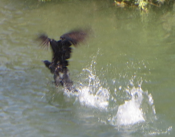 c0280322_11192582.jpg