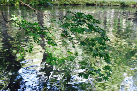 f0293522_00235394.jpg