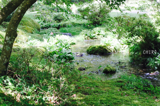 f0293522_00264064.jpg