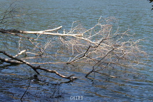 f0293522_00313665.jpg