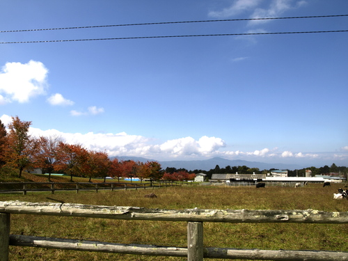 a0267332_21283432.jpg