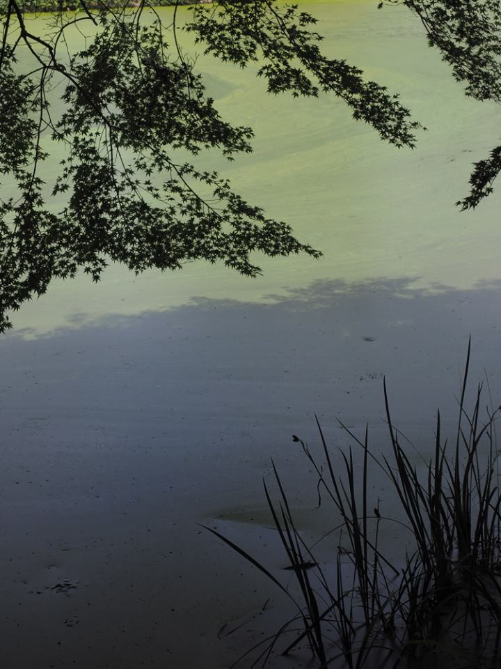 c0133533_01223517.jpg