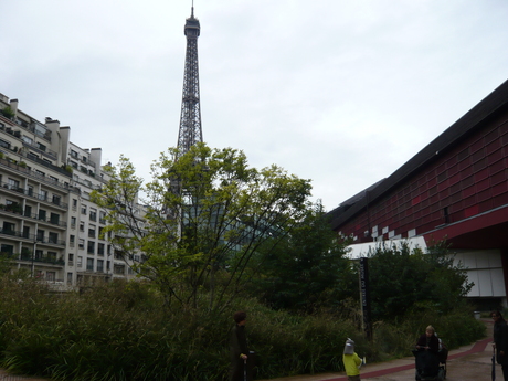 d0217833_865680.jpg
