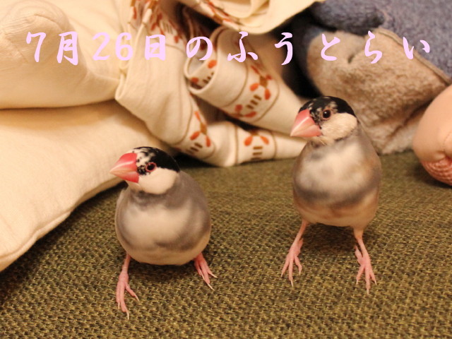 c0365734_00082079.jpg