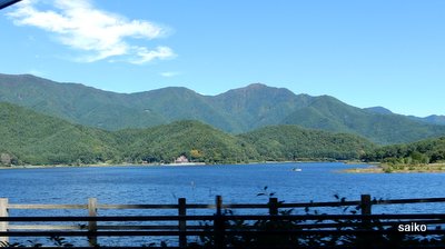 a0142343_1211011.jpg