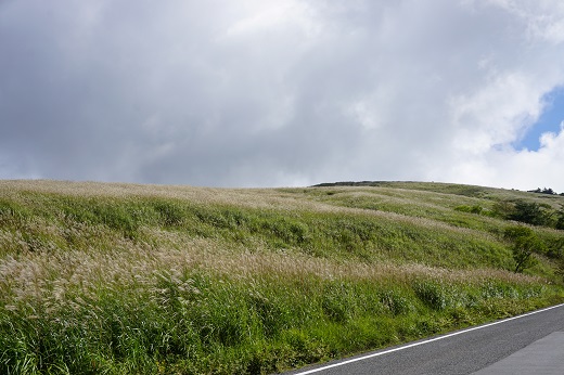 f0107145_15343989.jpg