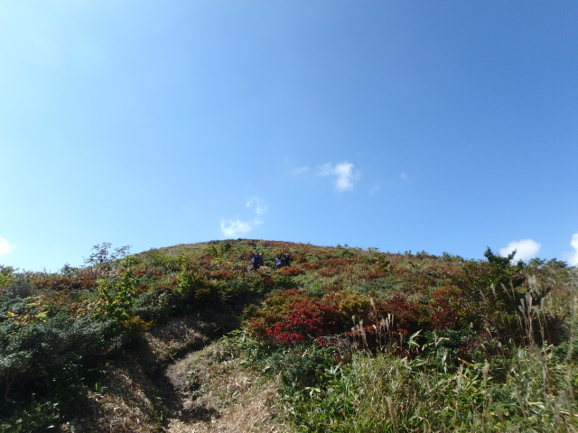 c0339546_20334378.jpg