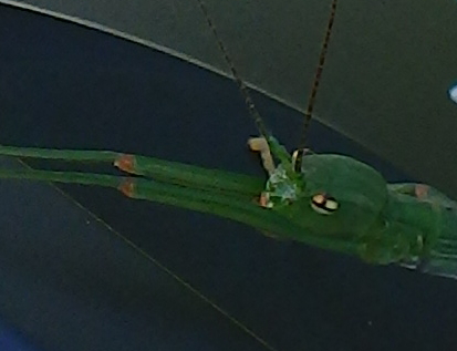 c0339546_2038582.jpg