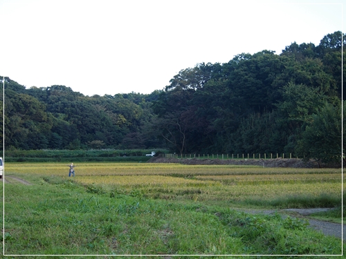 d0013149_2238138.jpg