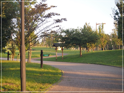 d0013149_2323377.jpg