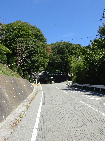 e0172950_21242937.jpg