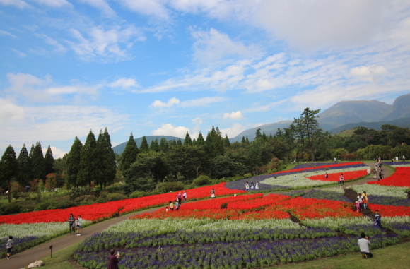 b0243152_13243556.jpg